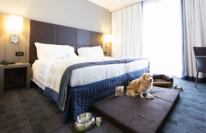 In viaggio con cani e gatti, i servizi di Best Western Italia