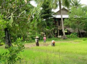 In Cambogia con Asiatica Travel: il reportage oggi online su Travel Quotidiano