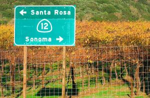 Sonoma: si riapre ai visitatori con grande attenzione e speranza