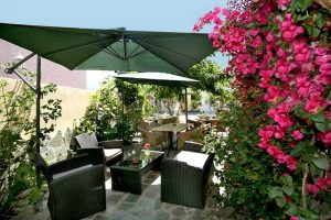 Logis, i consigli per chi viaggia con gli animali