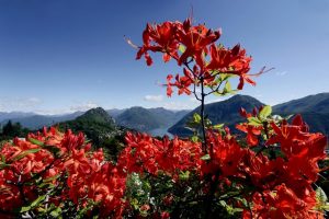 Ticino Turismo promuove il territorio con il progetto Ticino Challenge