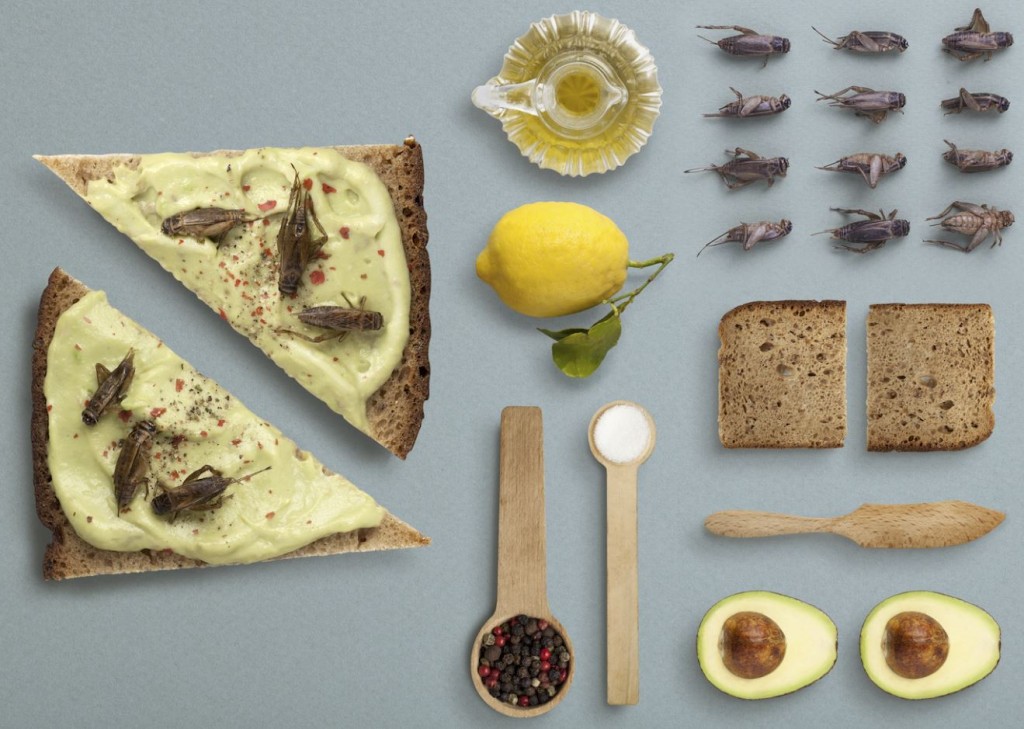 Fidenza Village: agosto è il mese del food