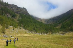 Wwf Travel e Natour Biowatching: viaggi naturalistici in Italia