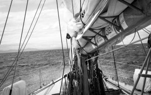 Globesailor: al via il concorso per navigare a bordo di Tara