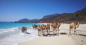 Originaltour presenta i nuovi tour di gruppo in Oman