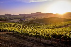 Sonoma County: molte offerte turistiche nella primavera-estate 2019