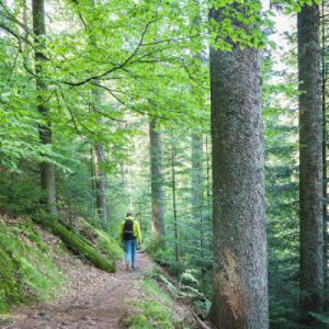Germania, si alza il sipario verde sul Baden-Württemberg