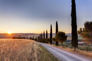 Avis e Maggiore, nuove destinazioni per l’arte, benessere e cucina