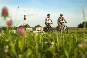 Salisburghese, le proposte per cicloturisti e bikers