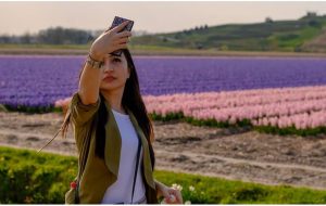 Olanda: ecco la campagna #lovetulips in difesa dei campi di tulipani