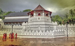 Ceylon Roots: Sri Lanka verso la normalità, con fiducia