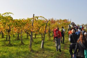 Destinazione Turistica Emilia, eventi e festival nella food valley