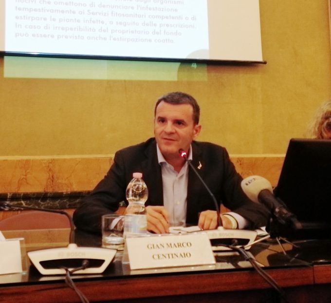 Un anno di Centinaio: «Avremmo potuto fare di più, ma ora siamo pronti»