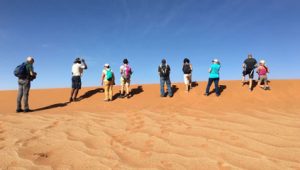 In Namibia con Kibo Tours, la natura protagonista del tour di 12 giorni