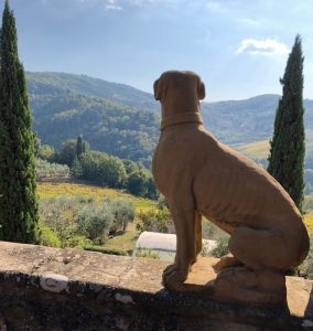 Un’altra estate 2019, gli eventi per valorizzare la Toscana autentica