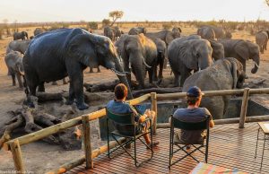 Gli Imvelo Safari Lodges (Zimbabwe) arrivano sul mercato italiano