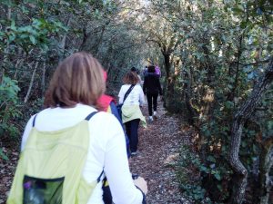 Federalberghi: scoperta del territorio e relax al primo posto nelle intenzioni dei vacanzieri