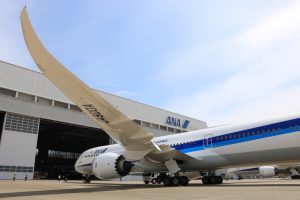 Ana propone una tariffa speciale per scoprire il Giappone meno noto