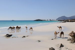 Land of Fashion, l’Oman protagonista della formazione alle agenzie di viaggio