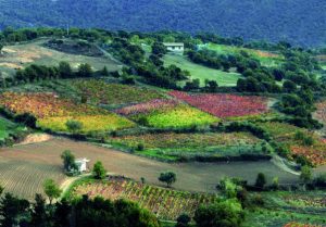Sardinia Ferries rilancia le promozioni per Autunno in Barbagia