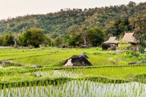 Adventure Overland: over commission per il viaggio di Capodanno in Laos