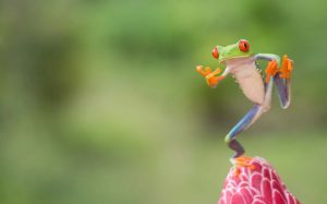 La Costa Rica debutta a Ttg in qualità di partner country