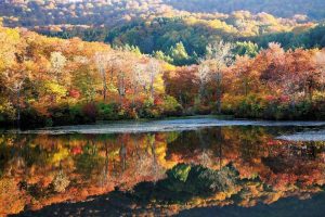 Giappone: la regione del Tōhoku nella classifica Best in Travel 2020