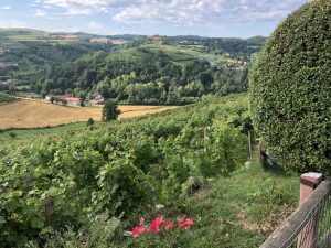 Alto Monferrato, con Thinkserravalle le proposte per un esperienza sul territorio