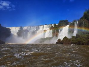 Quality Group, la natura protagonista delle proposte di fine anno