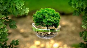 Anche il Gruppo Duetorrihotels sceglie la linea della sostenibilità