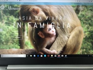 Mosaico, un nuovo sito per evidenziare l’offerta