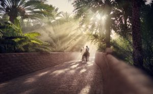 Abu Dhabi: alla scoperta di Al Ain tra natura e storia