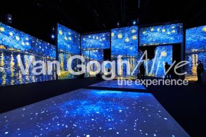 Zurigo, Van Gogh si svela in una mostra immersiva fino al 9 aprile