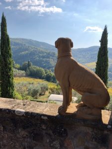 La Toscana con una nuova campagna di branding, in vetrina le offerte degli operatori