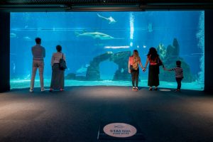 Acquario di Genova, fino al 30 giugno promozioni per famiglie