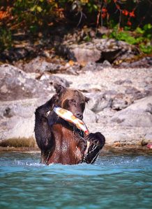 La Mia America: premiate le sei foto più “a stelle e strisce” del concorso di Visit USA
