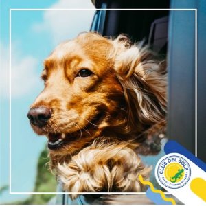 I Club del Sole sono tutti pet-friendly