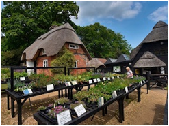 Combotour rafforza l’offerta, con i “viaggi zaino in spalla” alla scoperta dell’Europa