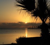 Pier Ezhaya : «L’Egitto paga un prezzo ingiusto per il conflitto in atto»