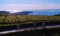 percorsi ciclabili tra i vigneti in Istria Slovena