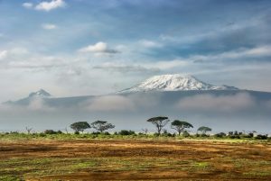 https://www.travelquotidiano.com/wp-content/uploads/2025/01/Kenya-300x201.jpg
