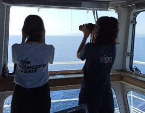 Corsica Sardinia Ferries, con il “monitoraggio dei cetacei” per la difesa del mare e dell’ecosistema
