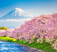 Guiness Travel: ecco la nuova strategia fondata su tre punti chiave