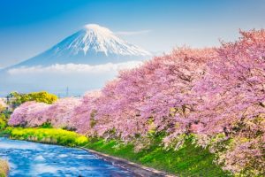 Guiness Travel: ecco la nuova strategia fondata su tre punti chiave