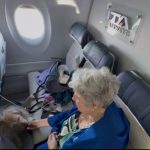 Enac e Ita Airways: oggi il primo volo con cani di grossa taglia in cabina