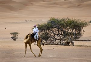 Fra storia e natura: Kibo presenta il “suo” Oman