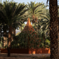 Desert X AlUla 2026, inaugurata la quarta edizione della biennale internazionale