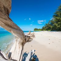 Seychelles: il mercato Italia cresce a doppia cifra anche a inizio 2026