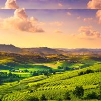 Opera Home Tour: tour immobiliari per chi vuole acquistare casa in Piemonte