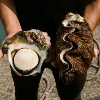 Relais & Châteaux, al via 4 progetti in collaborazione con l'Unesco